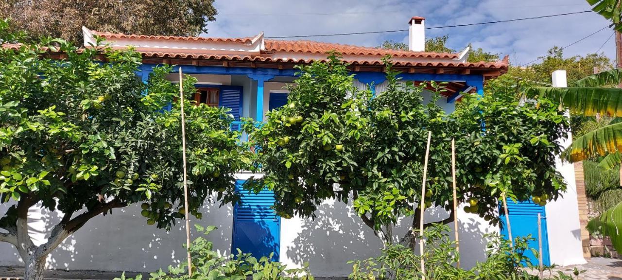 Sipsas Koroni (Messinia)