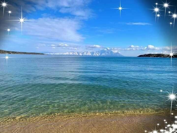 Sithon * Sarti