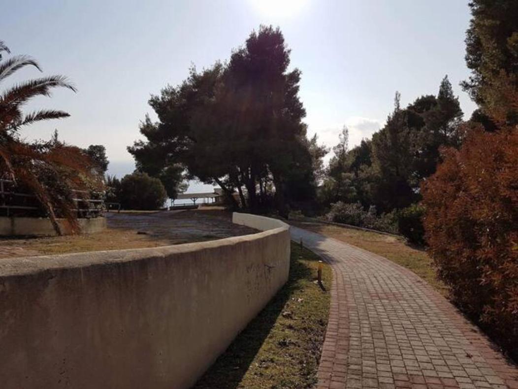 #luxlikehome Hill Summer * Elani