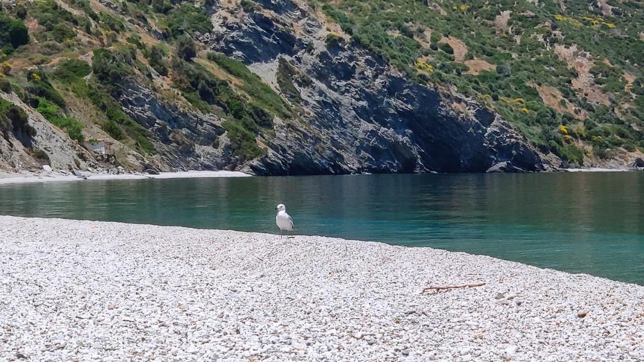 With Aegean Views