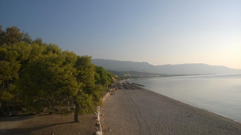 Siagas Beach Hotel Agioi Theodoroi
