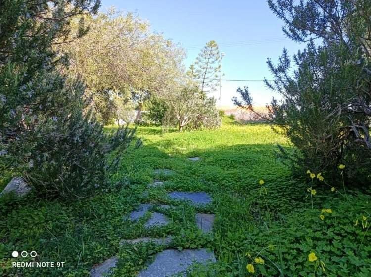 Velissarios: Wonderful Next To Villa *