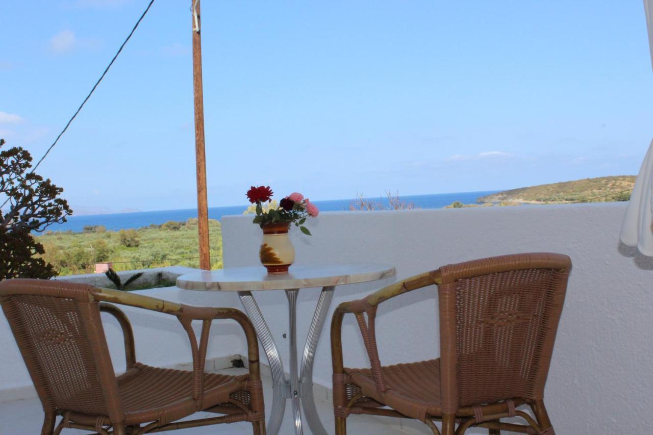 Angela Apartment Istro