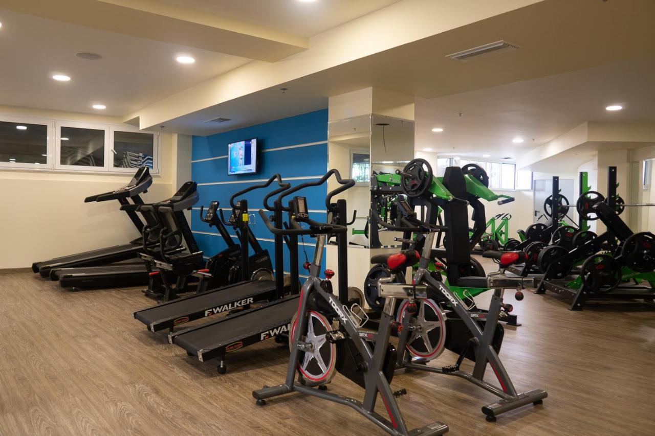 Wellness Santa - Adults Plus12
