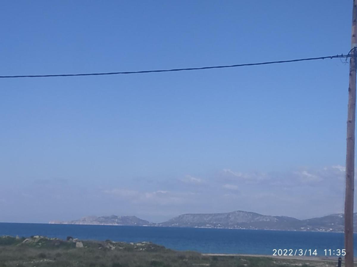 Poseidonia 50 & 70 Sqm With Sea View Apartment