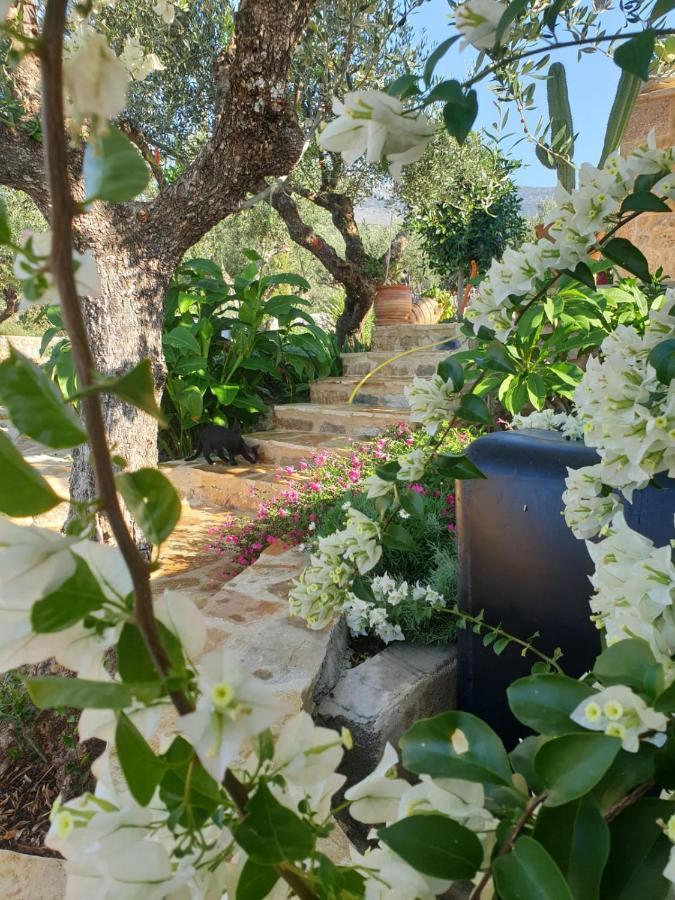 The Mousehouse Homestay Riglia