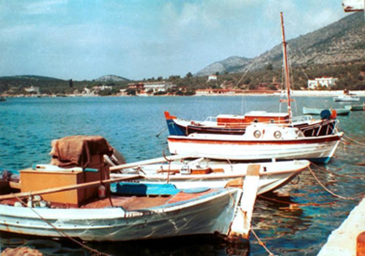 Aparthotel Argo