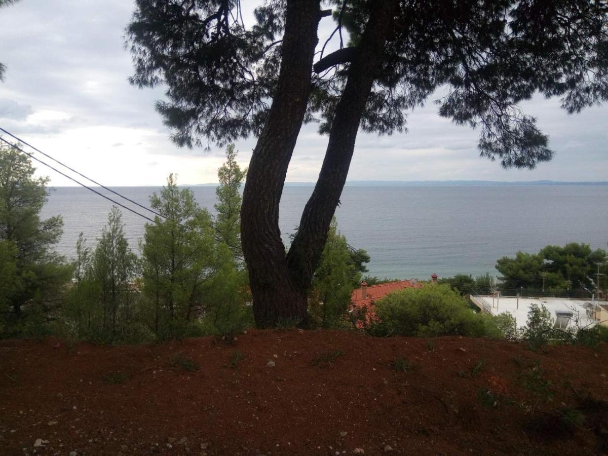 Apartment Pefkonas Apartments2 100 M From The Psakoudia