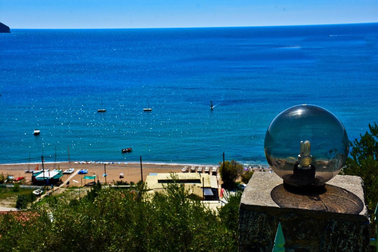 Aparthotel Delfini Agios Georgios Pagon