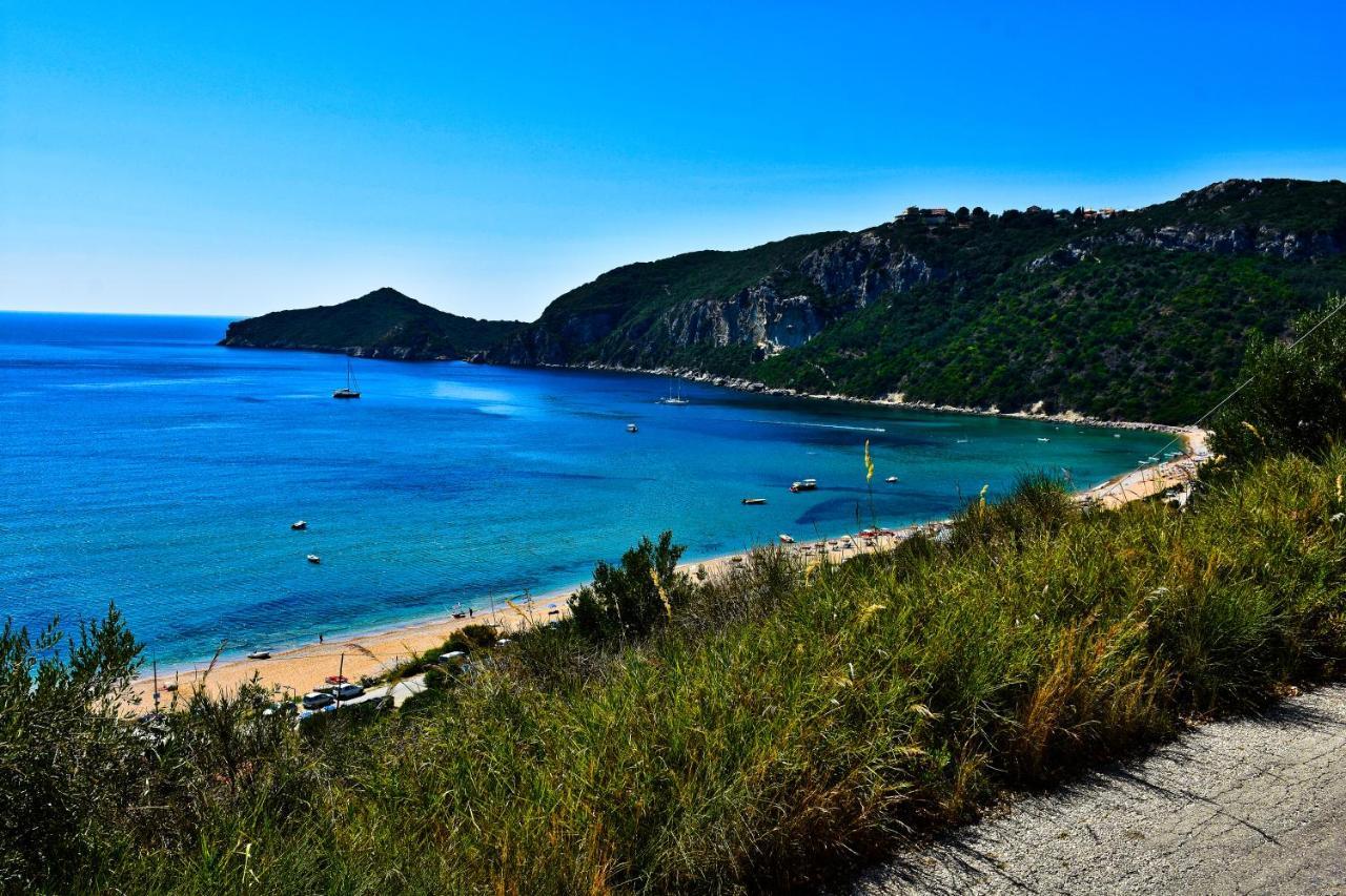 Delfini * Agios Georgios Pagon