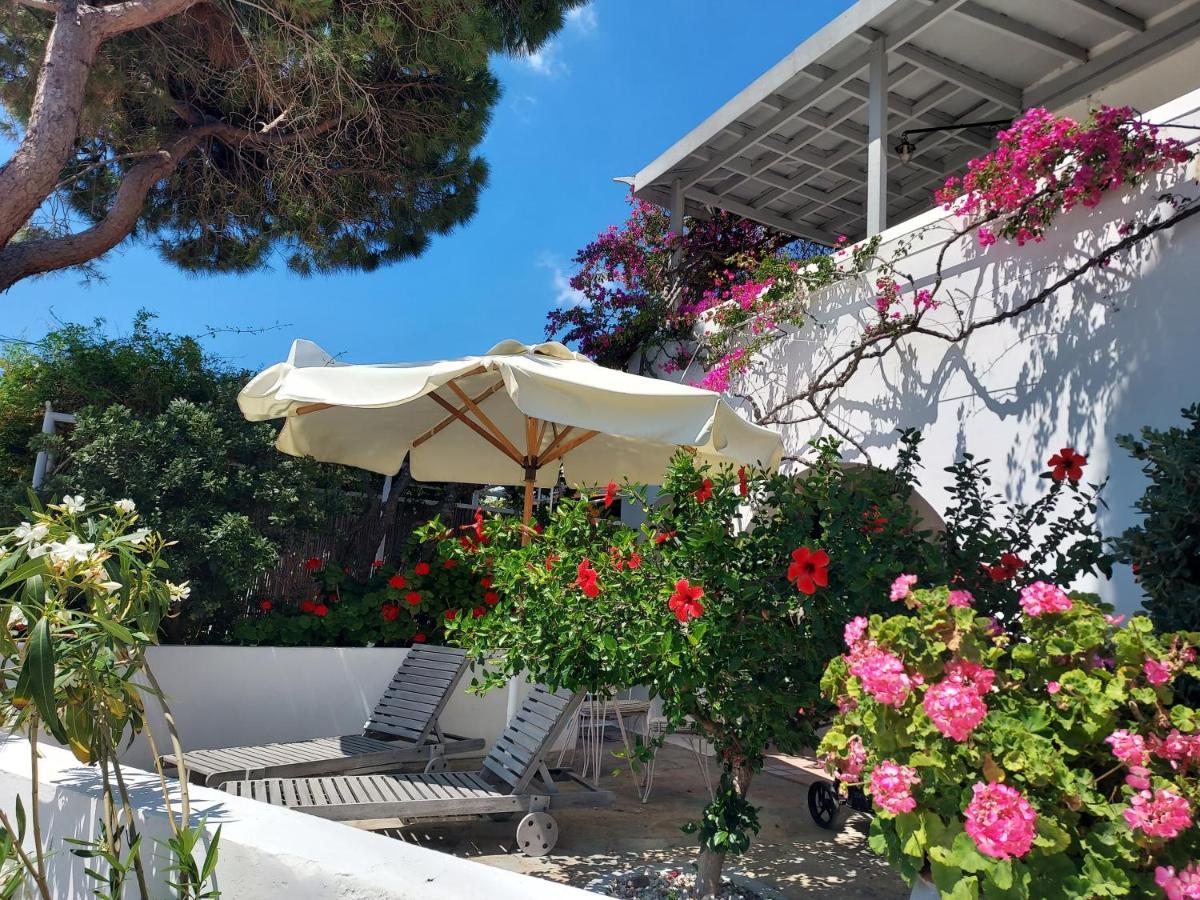Arni Andros - αρνη Apartment Batsi (Andros)