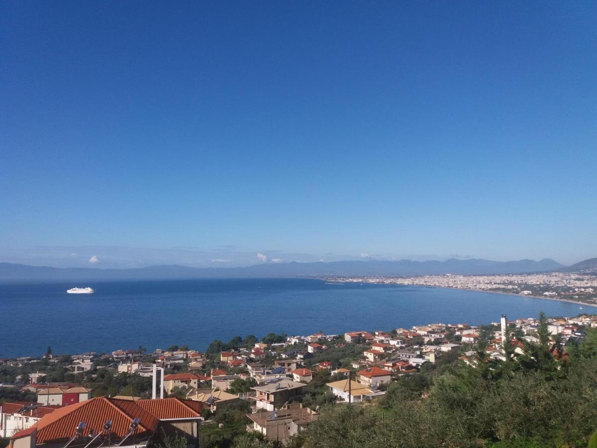 Panorama View *