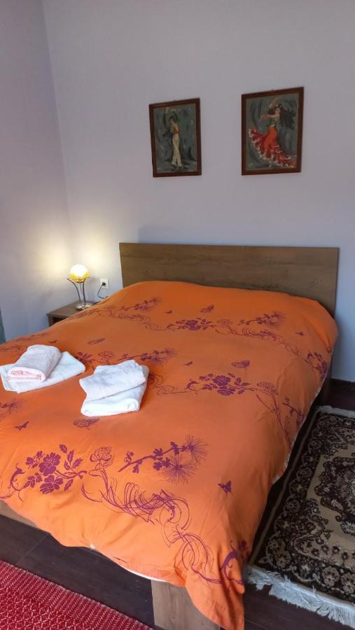 Apartment Mainalo View House