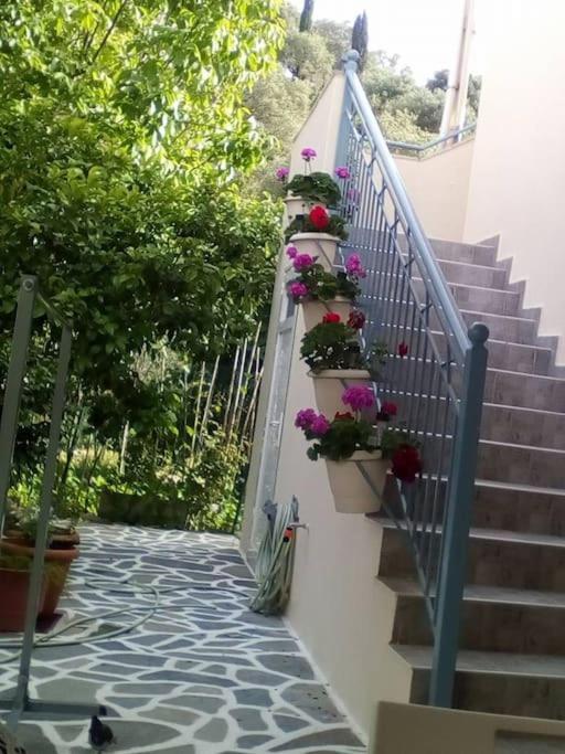 Elen's House Sivota (Epirus)