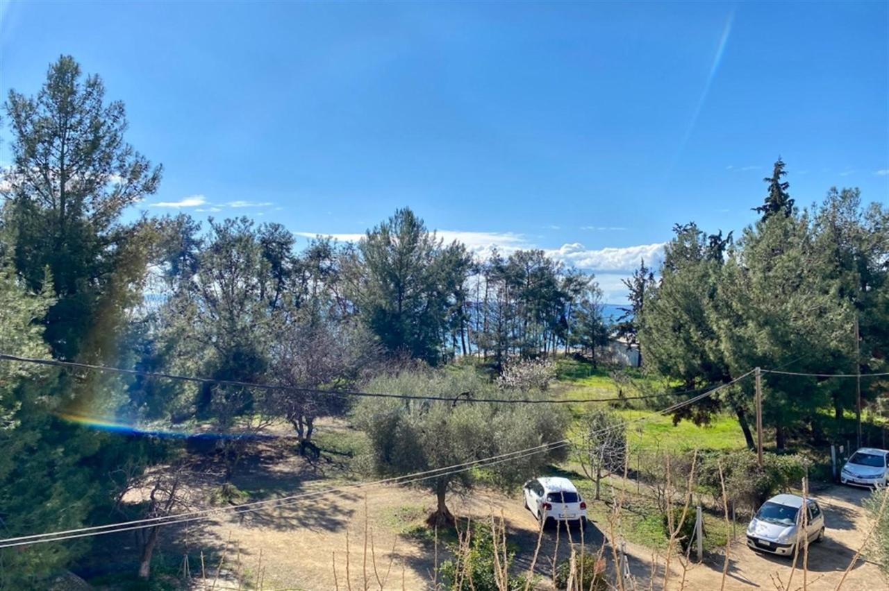 Pine 2 Bedrooms 50 Meters To The