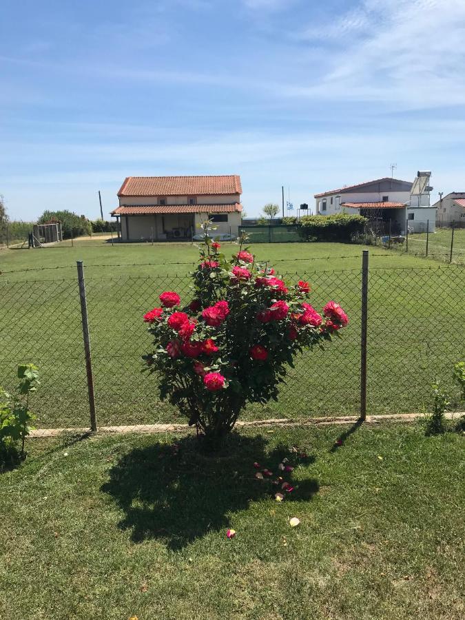 маламос Villa Paralia Avdhiron