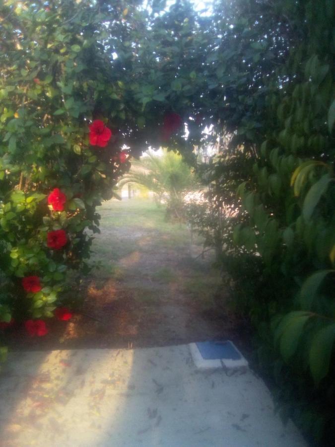 Traditional House Marivilla Holiday home *
