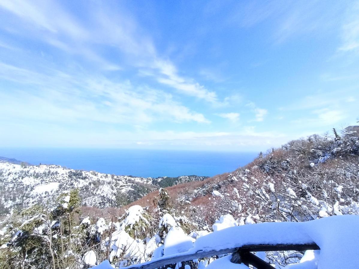 Horizon Guest house