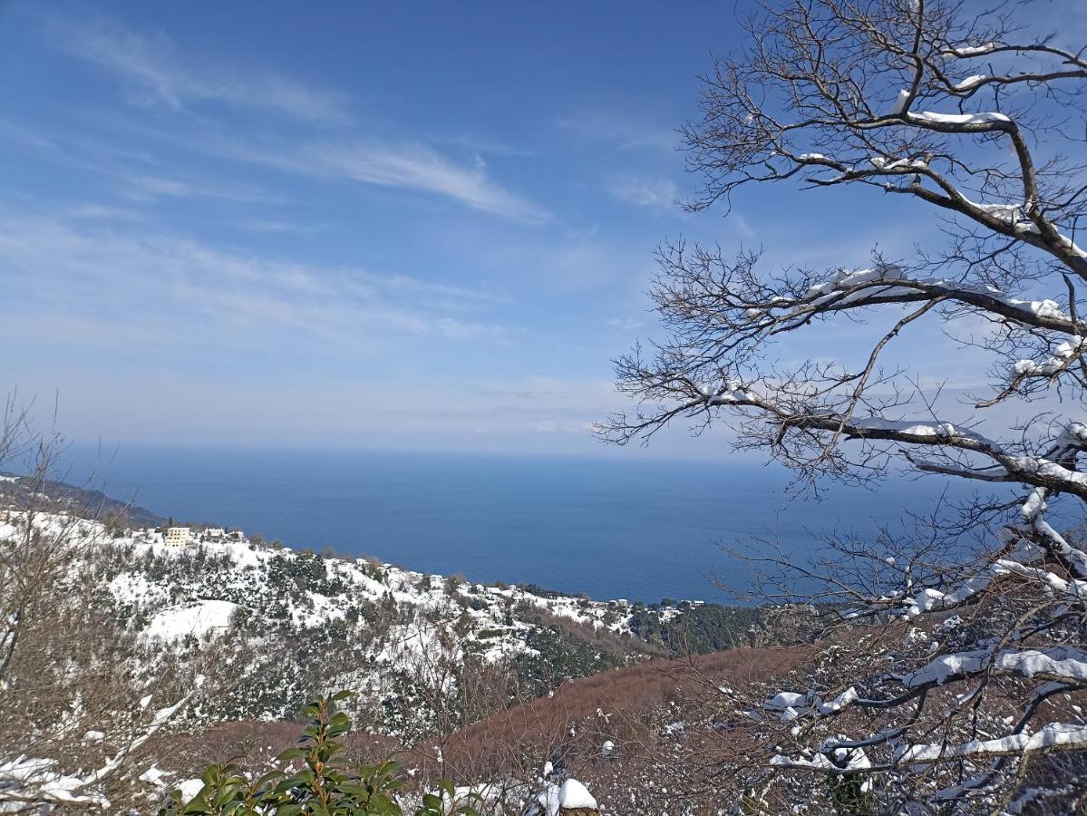 Horizon Guest house Tsagarada