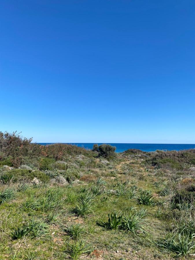 Alykes Beachside Stylish With Private Pool South Rhodes Villa *