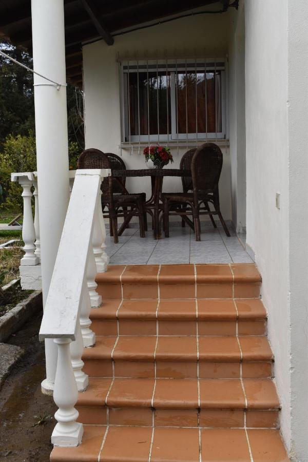 Kerasia's And Dora's Garden Holiday home Punta