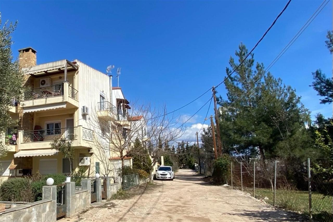 Holiday home Pine 2 Bedrooms 50 Meters To The