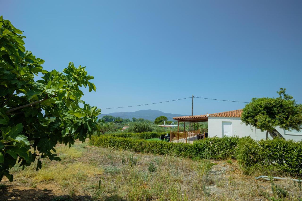 At The Messinian's Bay * Velika (Messinia)