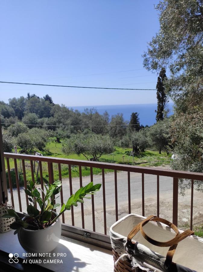 Apartment Malibu *