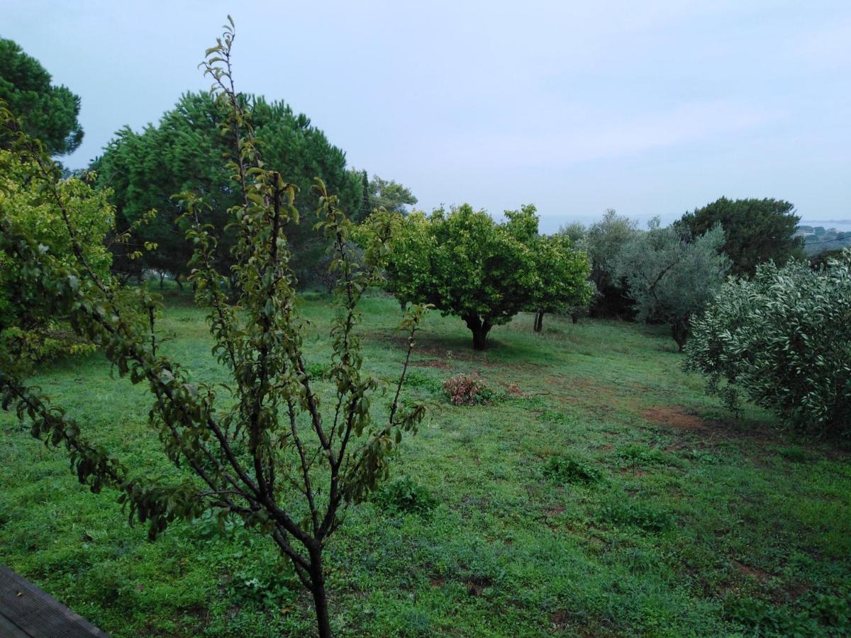 Aliki Petrochori (Peloponnese)