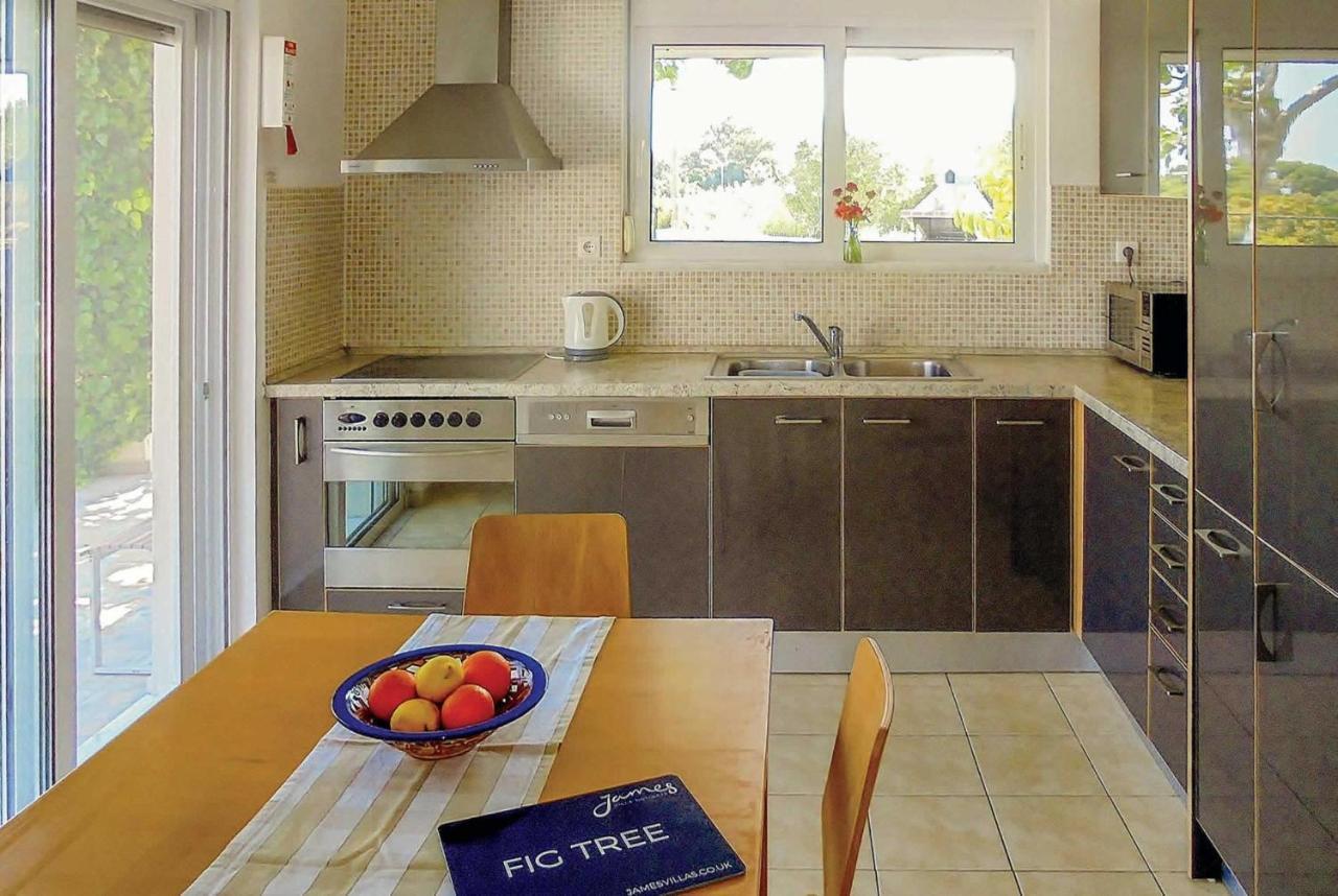 Fig Tree Villa Fanes (Rhodes)