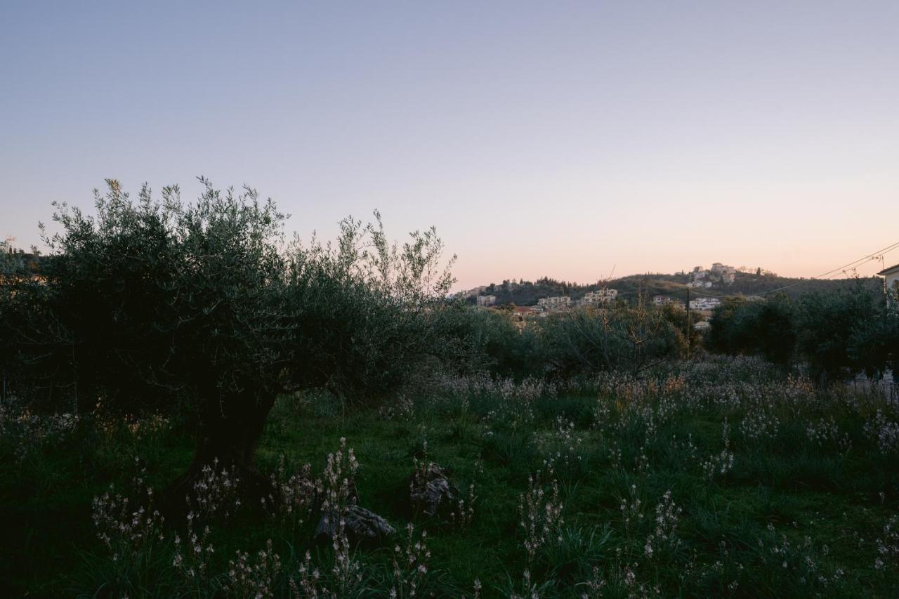 Sarah Luxury Sivota (Epirus)