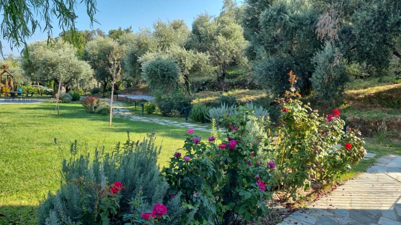 Aparthotel Moses 3*