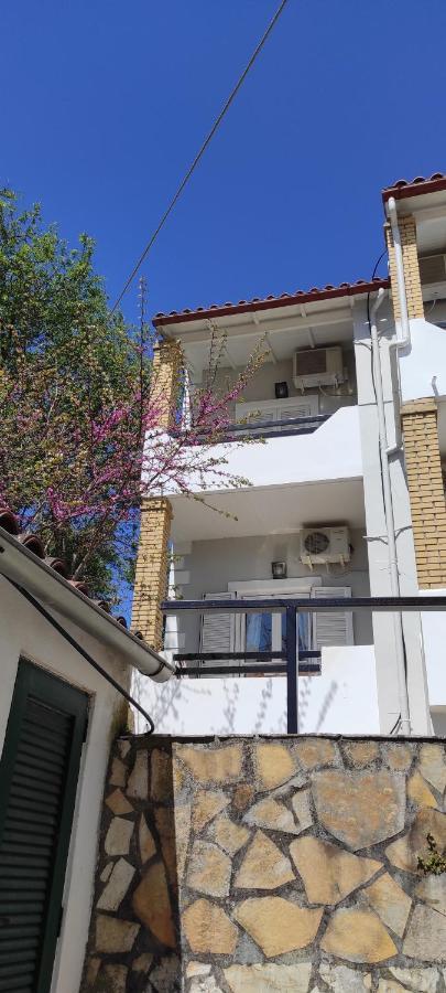 Boho - Near Restaurants, Bus And Beaches Apartment *