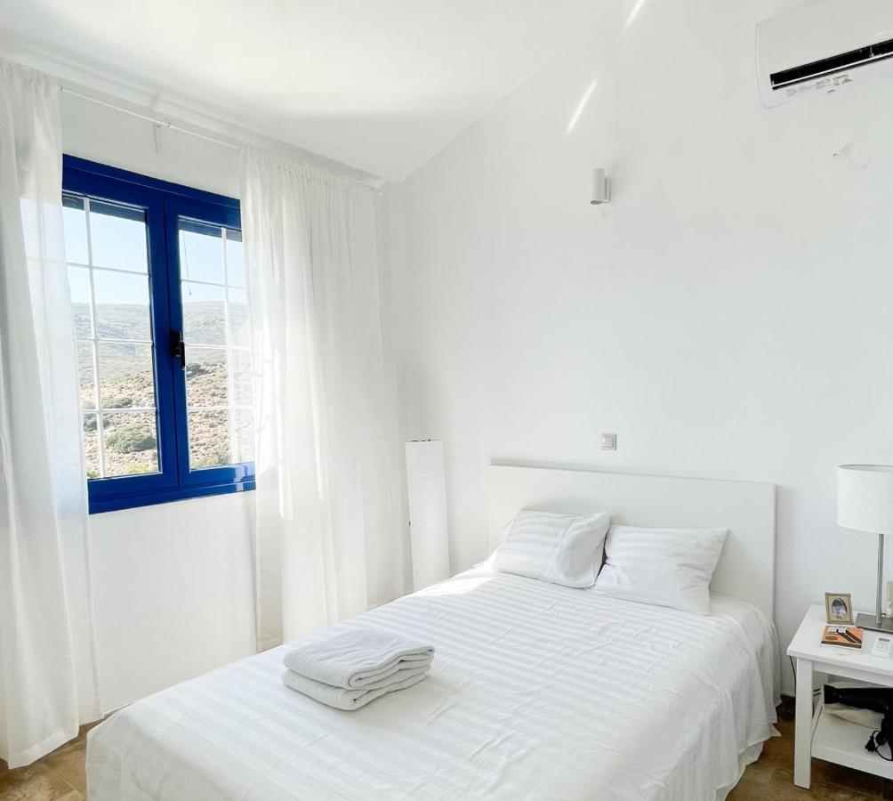 Gorgeous Private With Sea View! Villa Batsi (Andros)