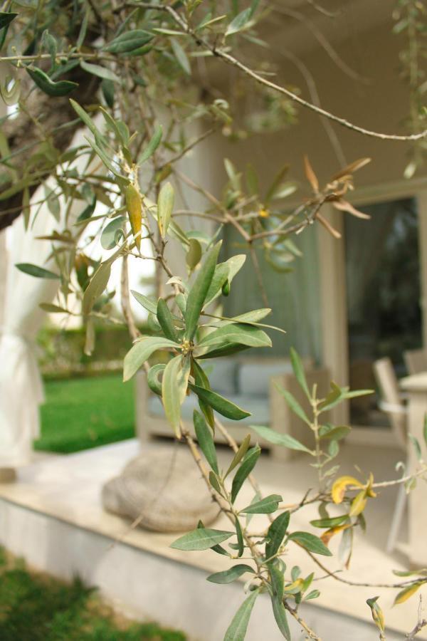 Olive Dream Thassos Luxury