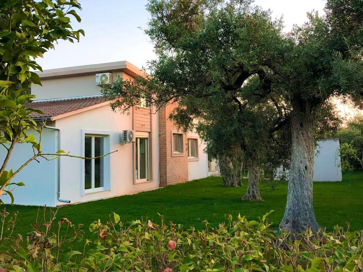 Olive Dream Thassos Luxury