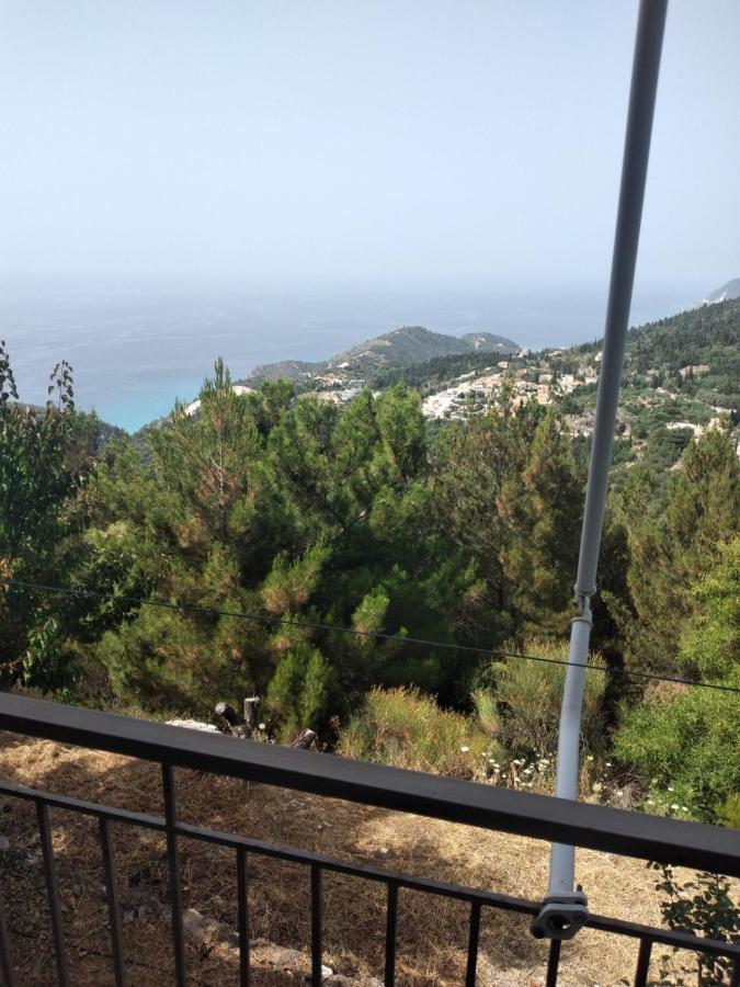 Panoramic View *