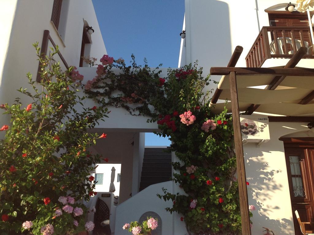 Apartment Niriides Pachaina