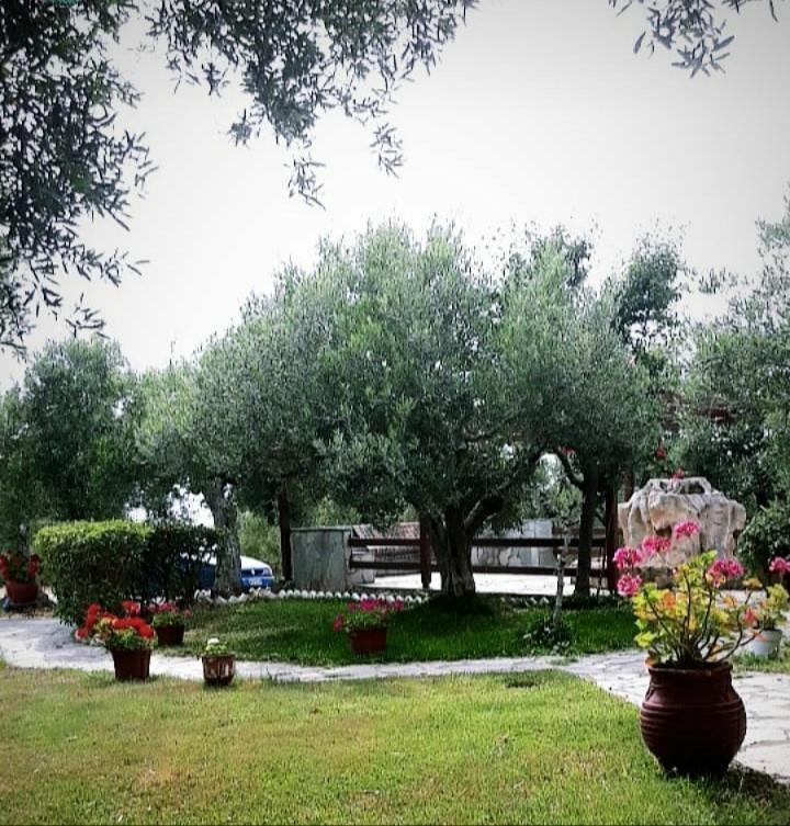Vigla Ias 2 Guest house Paradisos