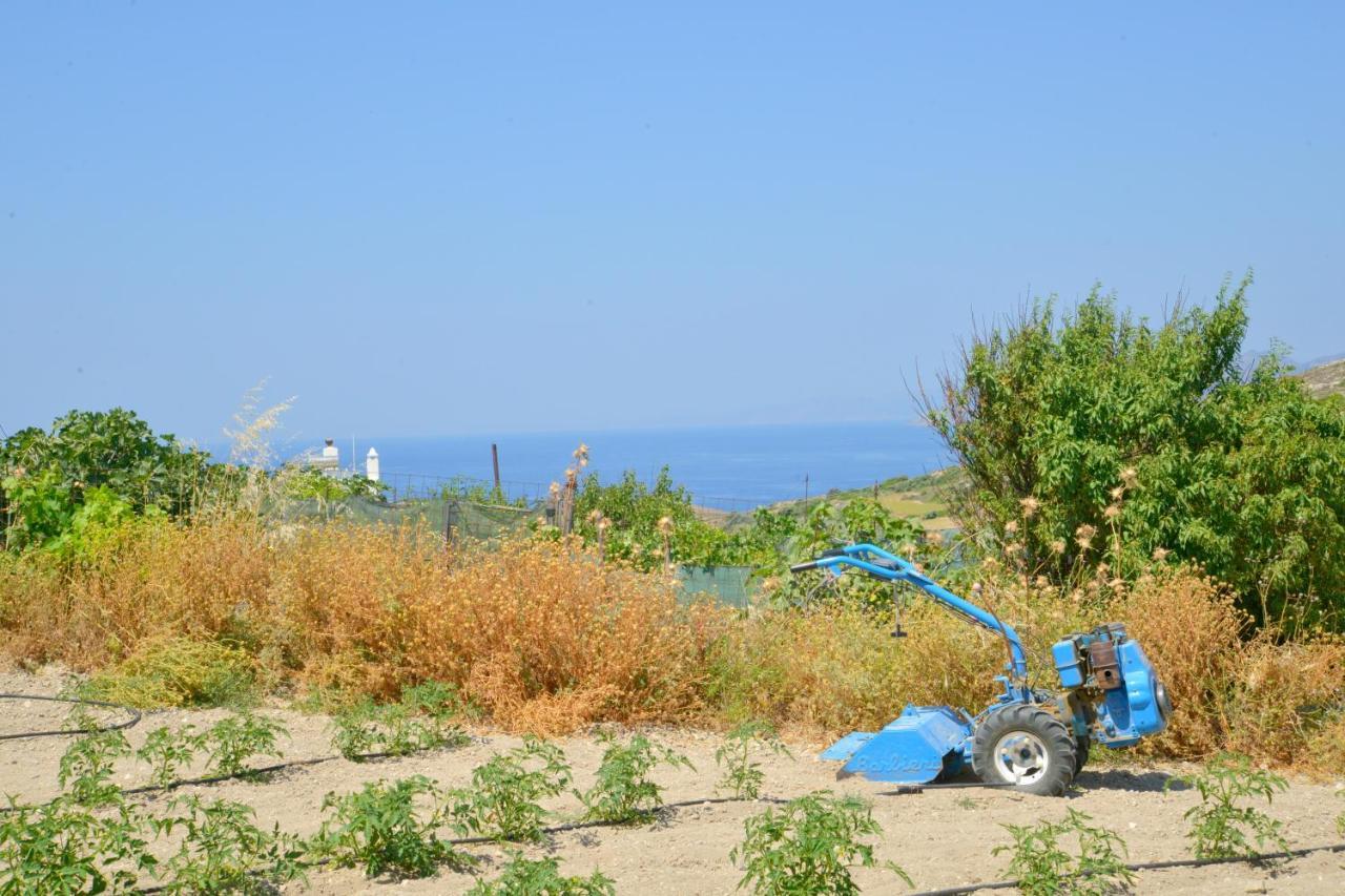 Alkyonis Milos