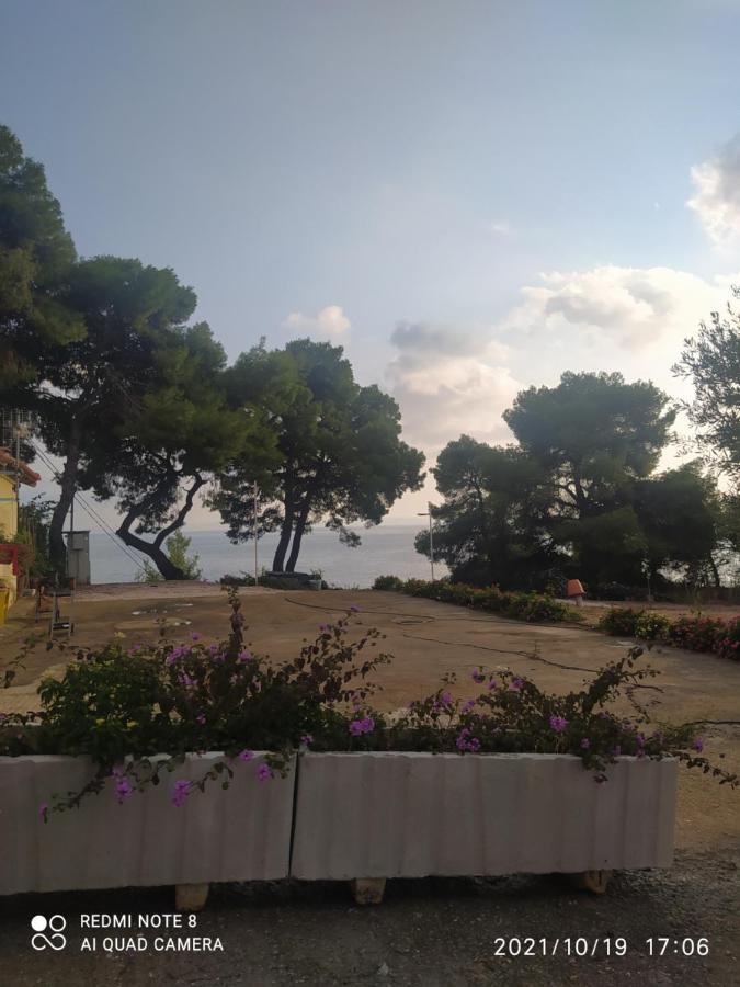 Pefkonas 100 M From The *