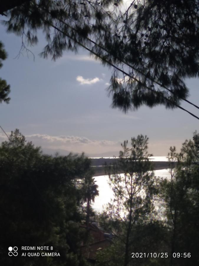 Apartment Pefkonas 100 M From The Psakoudia