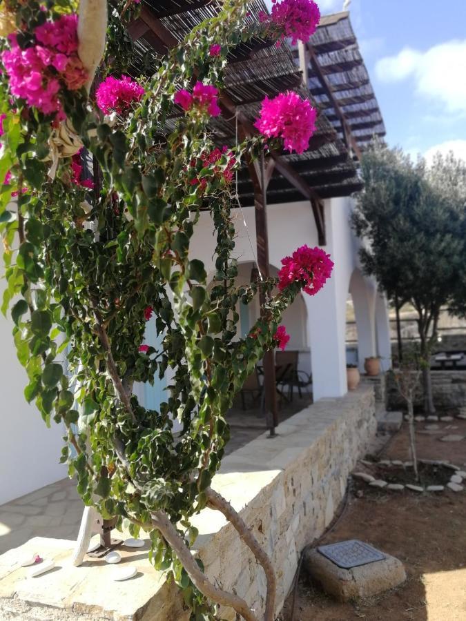 Gio St Gio 1 St.giorgio * Andiparos