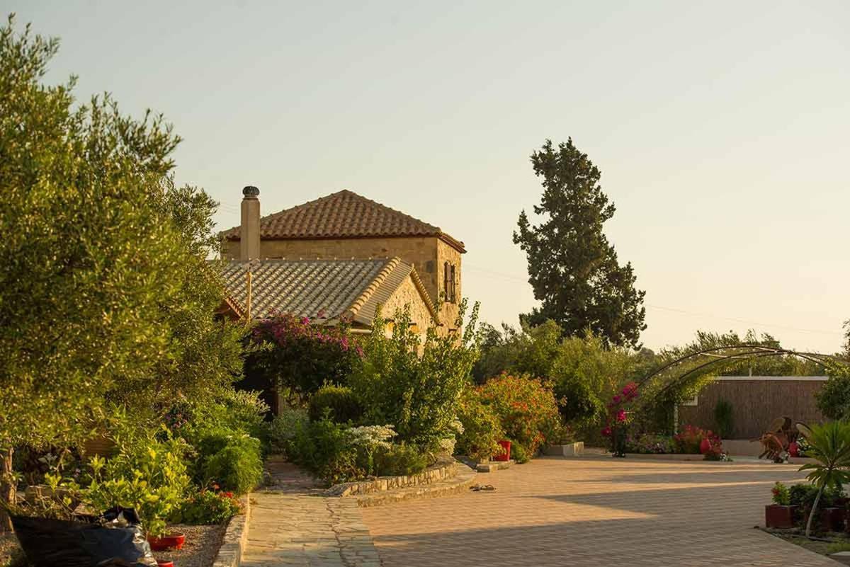 Stonehouse Olivelia - Afrathias * Tympaki