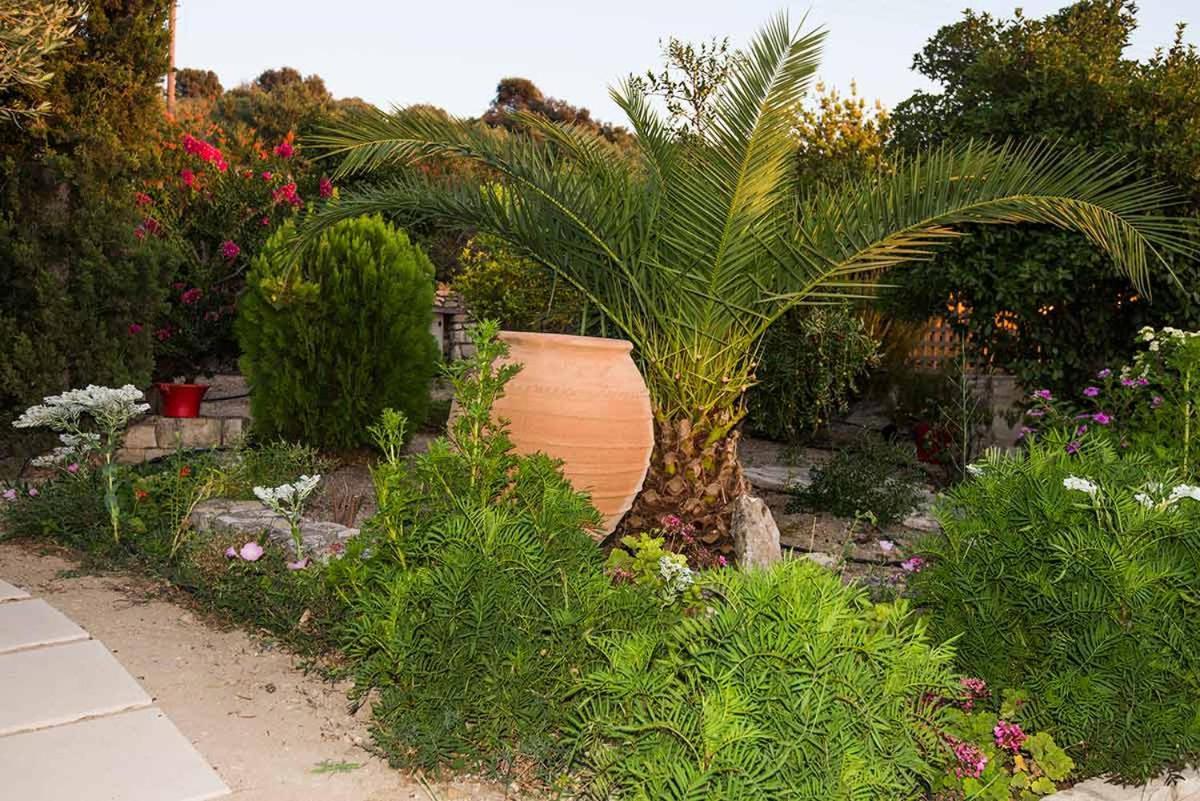 Stonehouse Olivelia - Afrathias * Tympaki