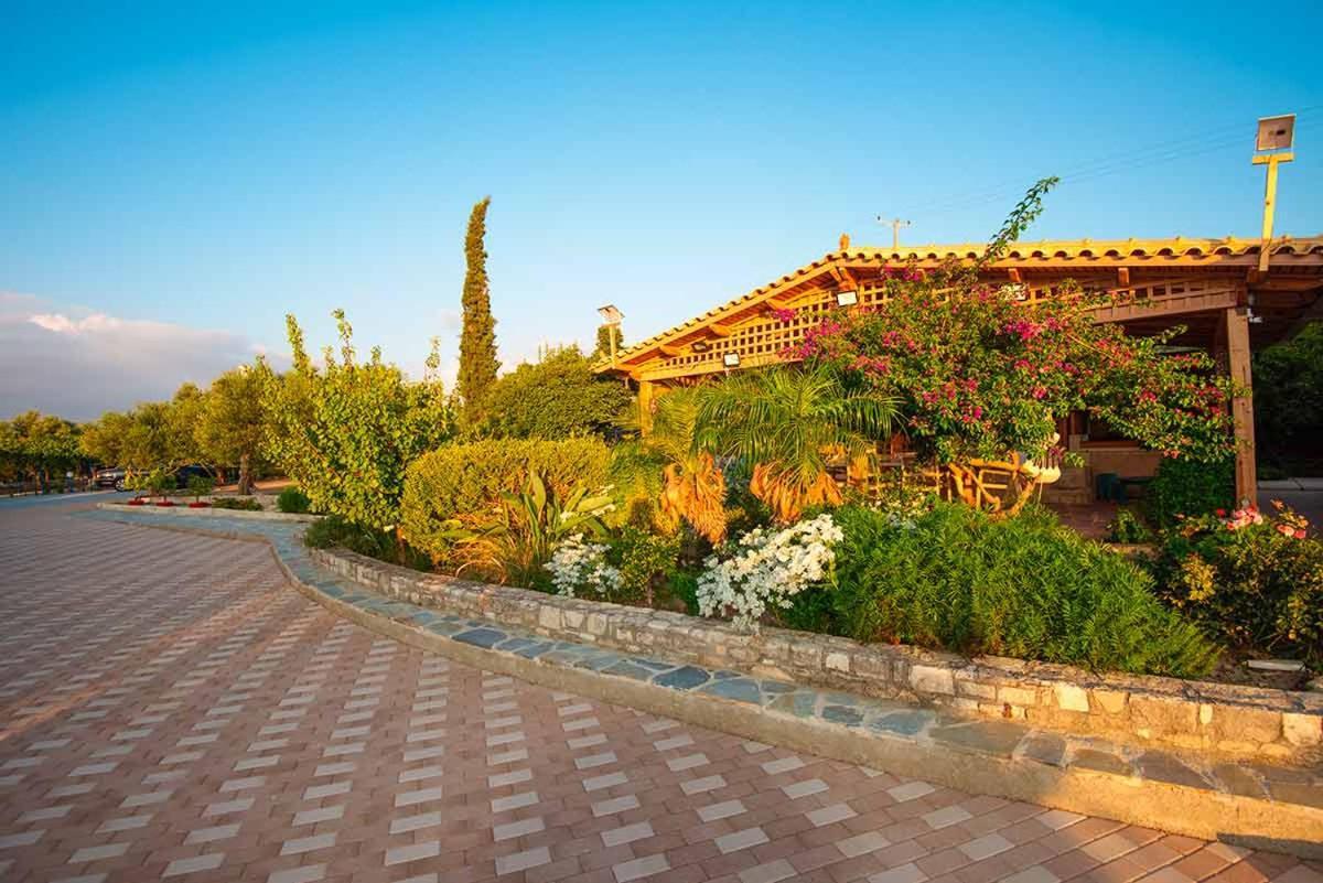 Apartment Stonehouse Olivelia - Afrathias