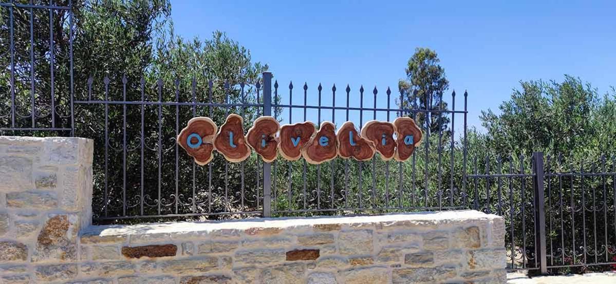 Apartment Stonehouse Olivelia - Afrathias *