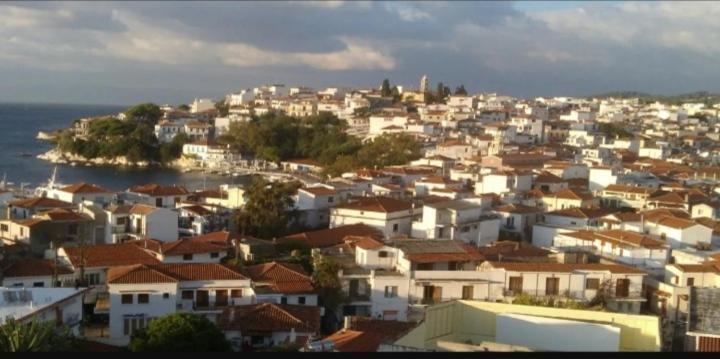 Vaso House Apartment Skiathos Town