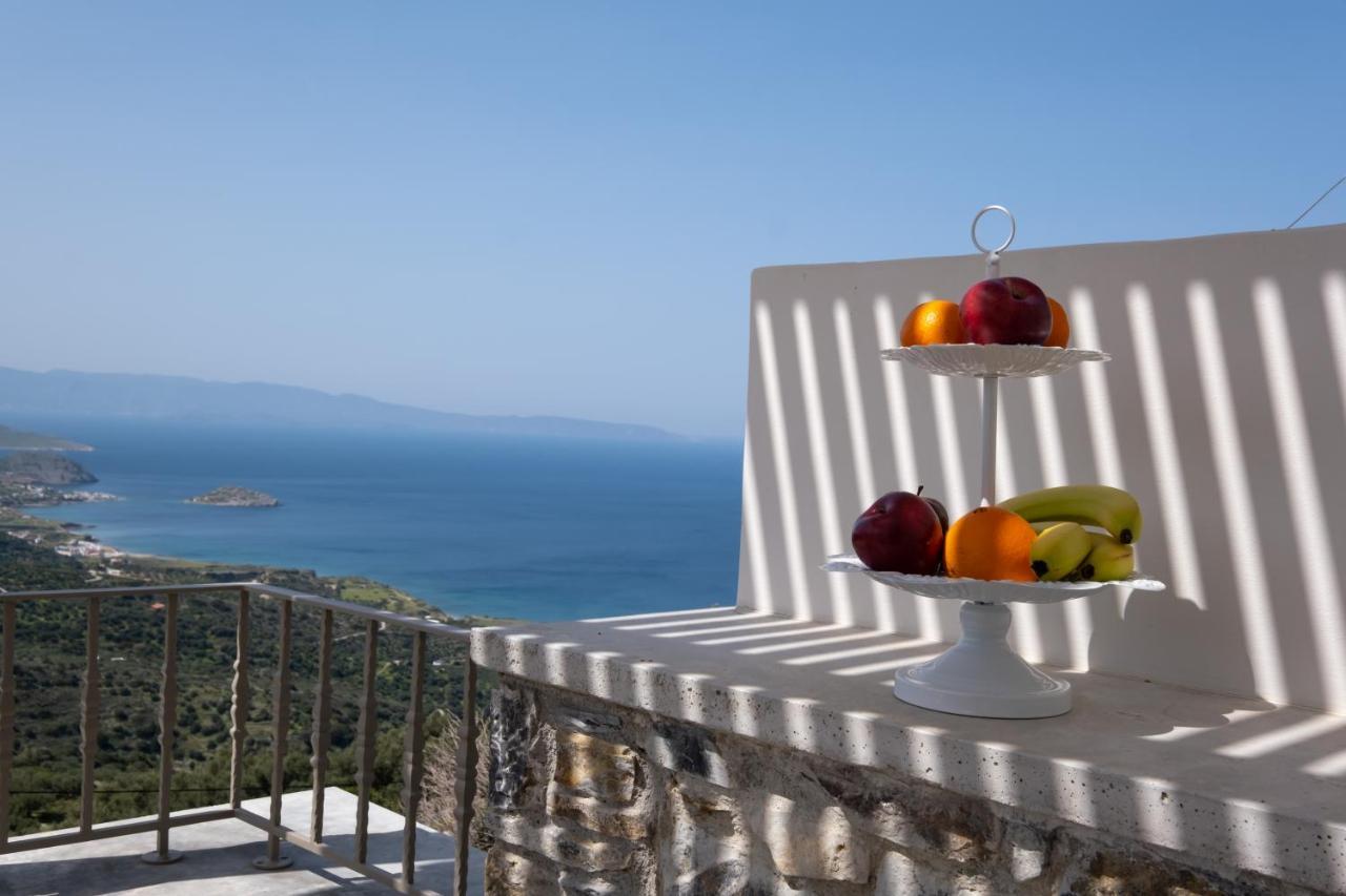 Palmar Club - Aphrodite
