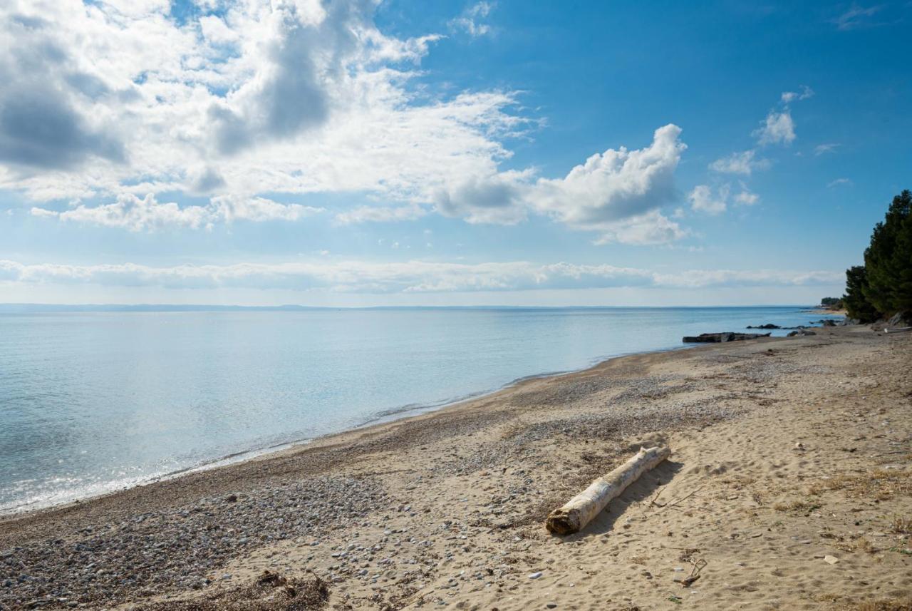 Villa Vitamin Sea Beachfront Villa, Sithonia #feelslikehome *